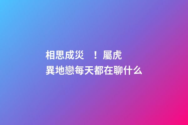 相思成災！屬虎異地戀每天都在聊什么